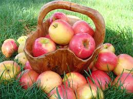 яблоки подавляют аппетит